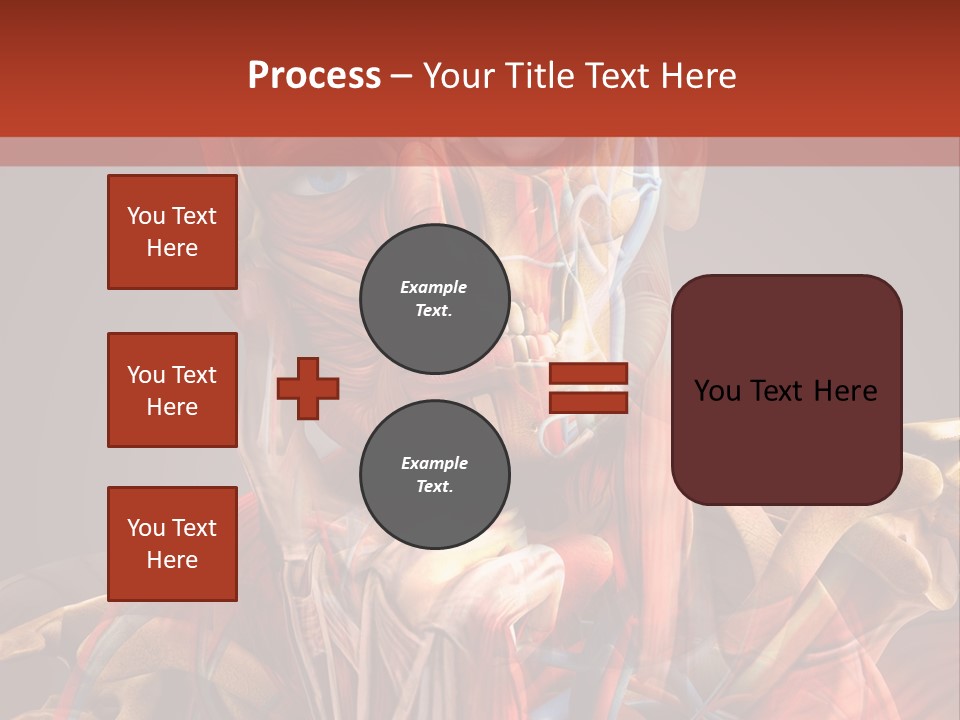 Biology System Anatomy PowerPoint Template