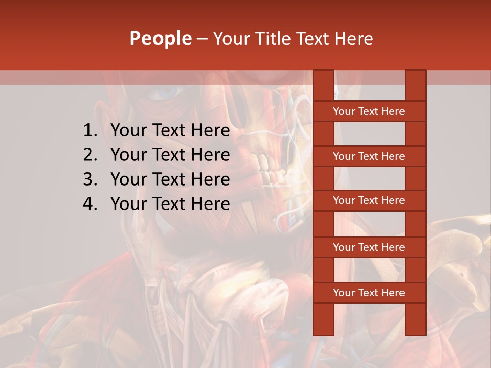 Biology System Anatomy PowerPoint Template