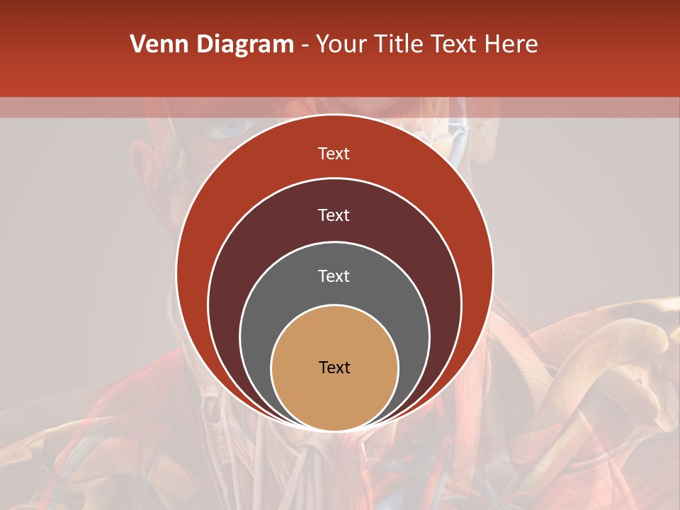 Biology System Anatomy PowerPoint Template