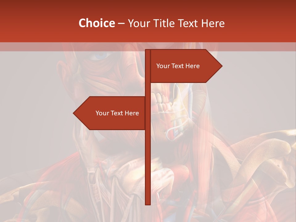 Biology System Anatomy PowerPoint Template