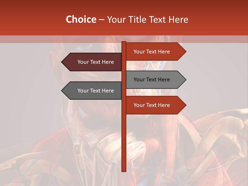 Biology System Anatomy PowerPoint Template