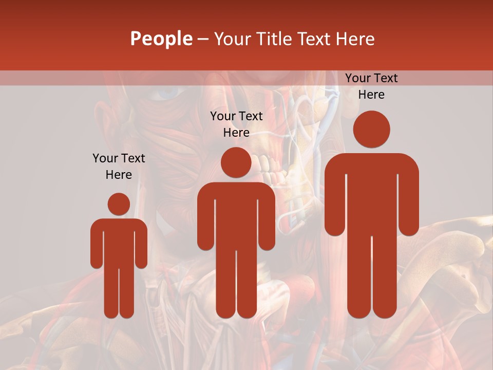 Biology System Anatomy PowerPoint Template