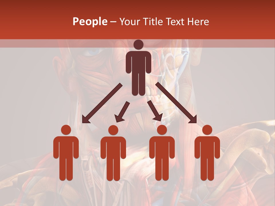 Biology System Anatomy PowerPoint Template