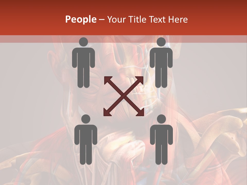 Biology System Anatomy PowerPoint Template