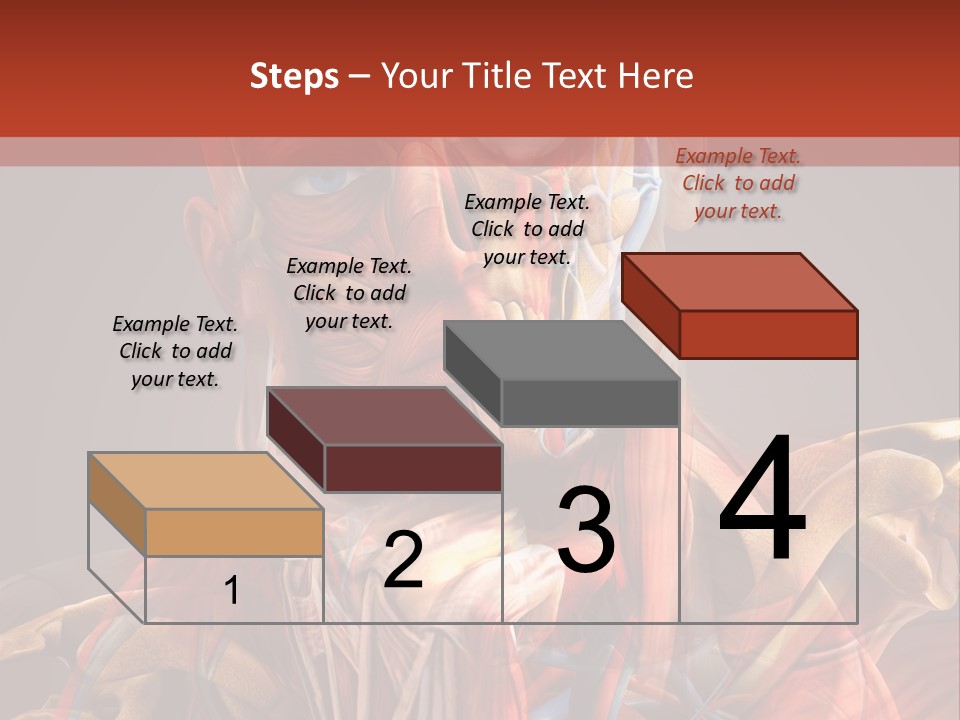 Biology System Anatomy PowerPoint Template