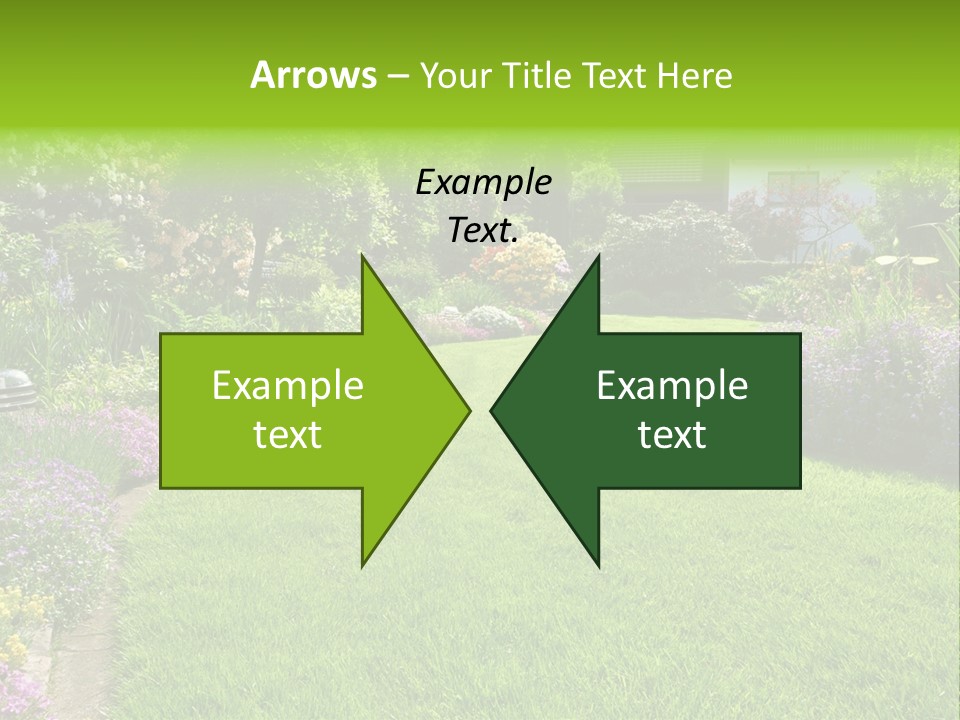 Rhododendron Flower Garden Horticulture PowerPoint Template