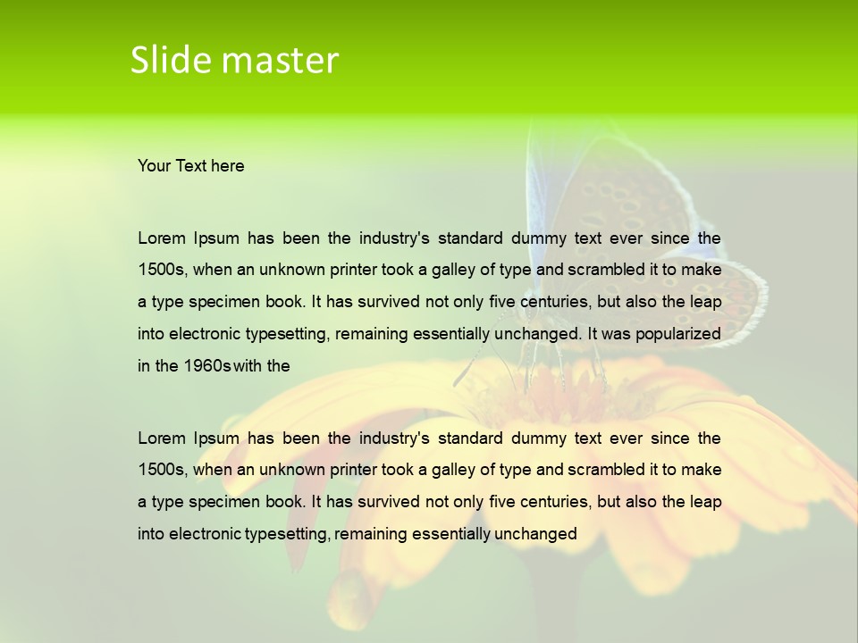 Background Wing Wildlife PowerPoint Template