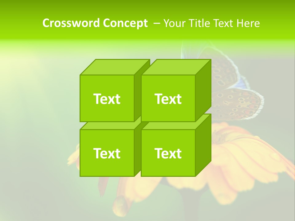 Background Wing Wildlife PowerPoint Template