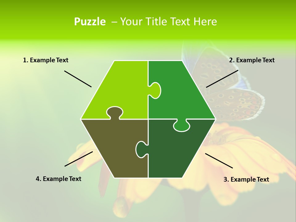 Background Wing Wildlife PowerPoint Template