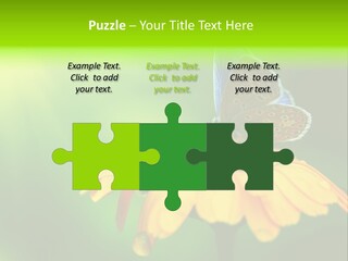 Background Wing Wildlife PowerPoint Template