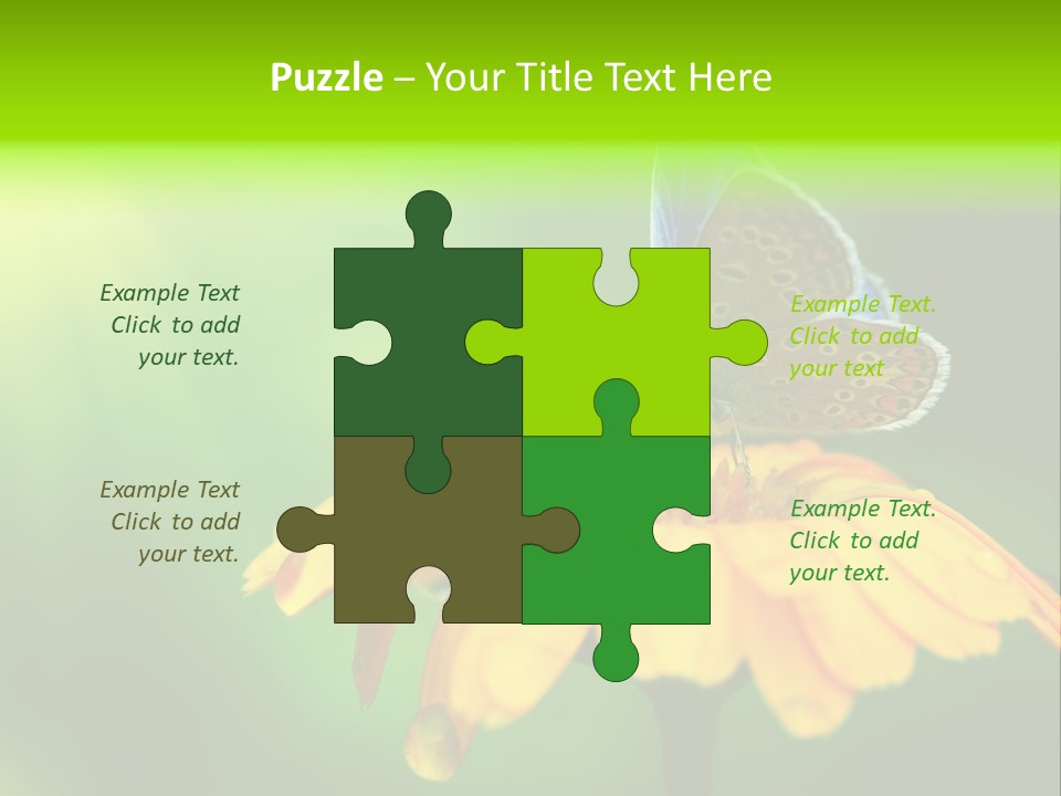 Background Wing Wildlife PowerPoint Template