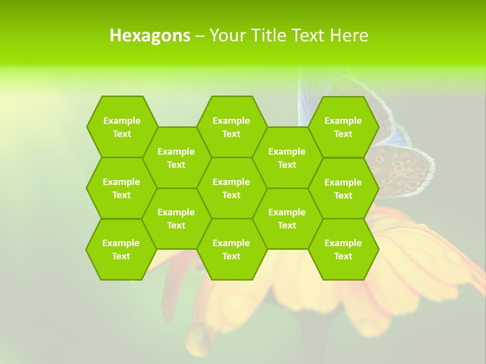 Background Wing Wildlife PowerPoint Template