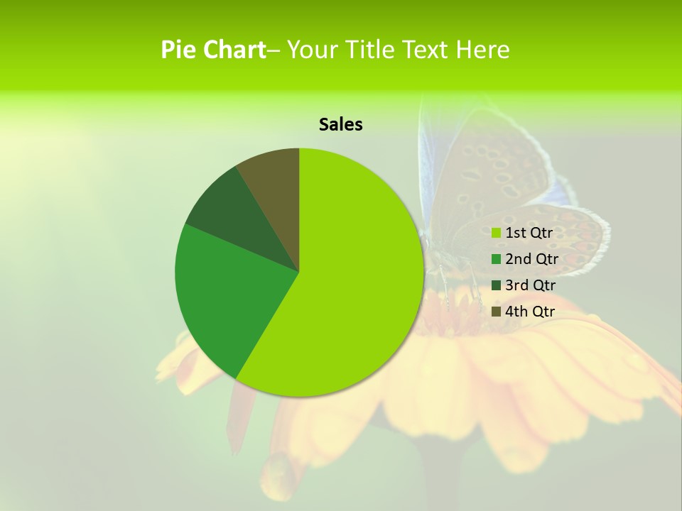 Background Wing Wildlife PowerPoint Template