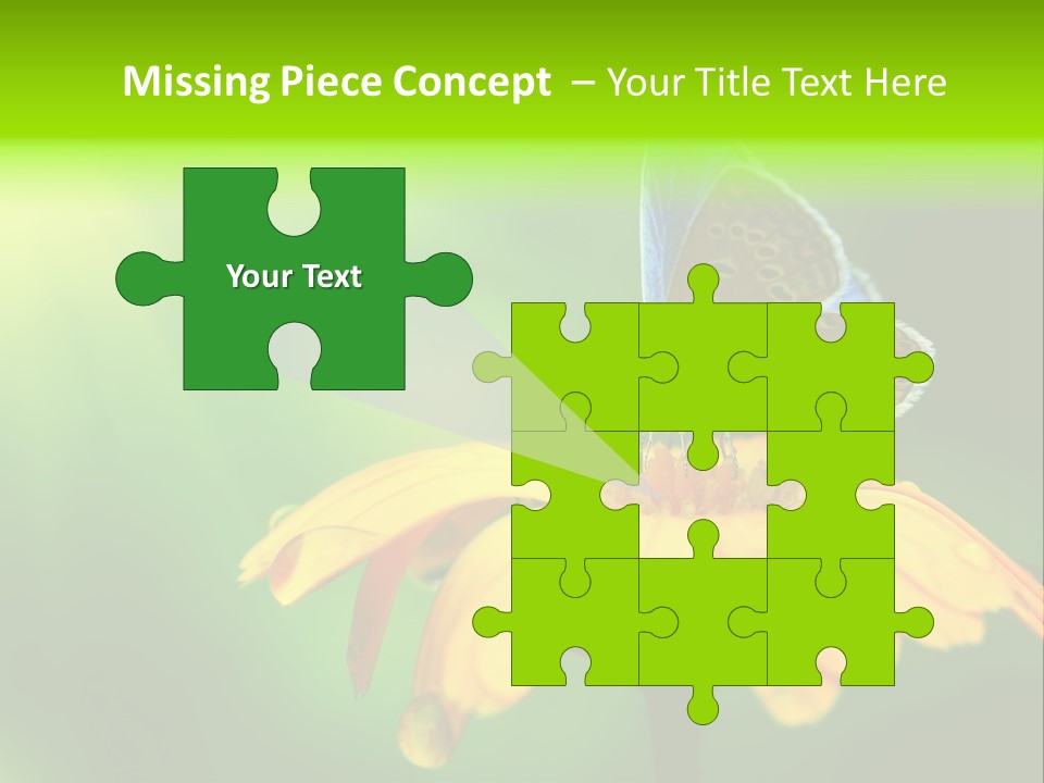 Background Wing Wildlife PowerPoint Template