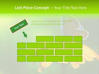 Background Wing Wildlife PowerPoint Template