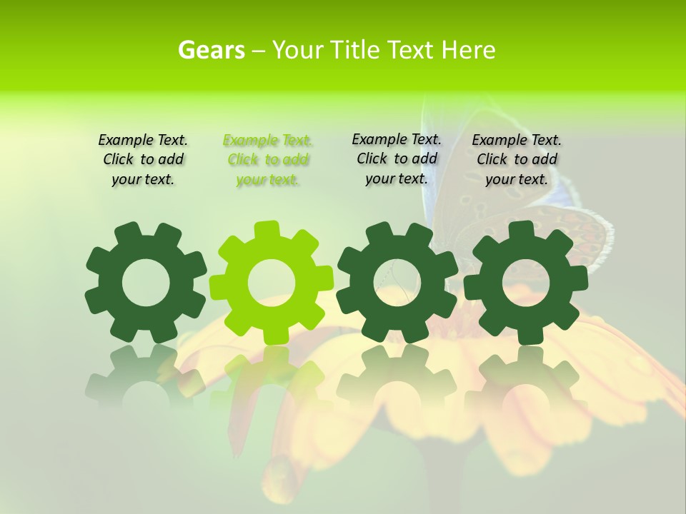 Background Wing Wildlife PowerPoint Template