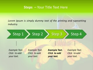 Background Wing Wildlife PowerPoint Template