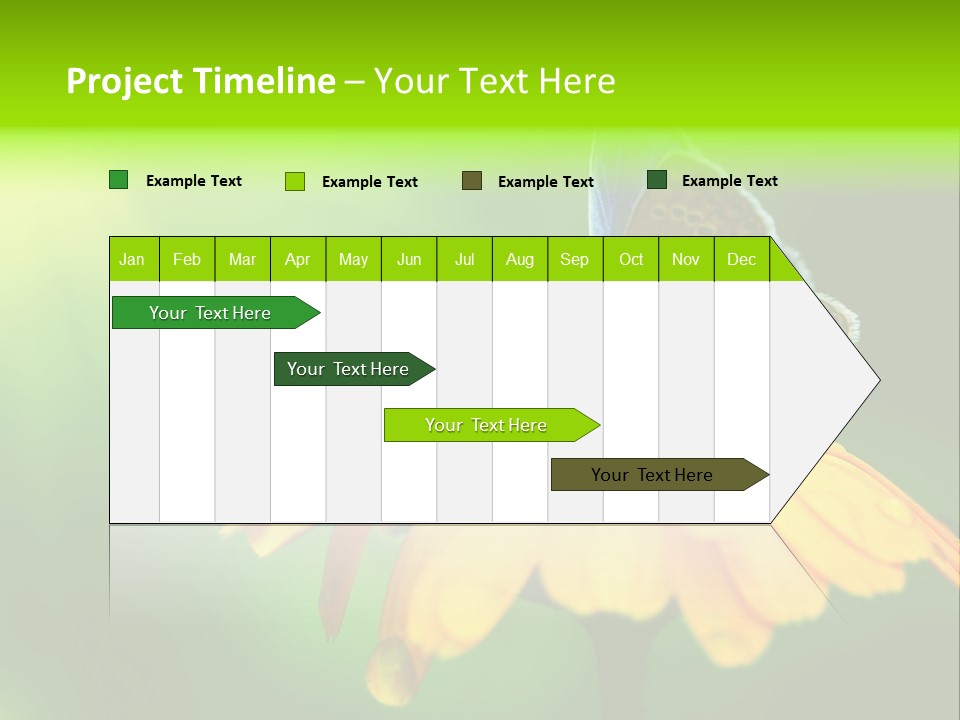 Background Wing Wildlife PowerPoint Template