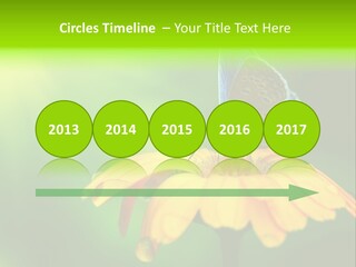 Background Wing Wildlife PowerPoint Template