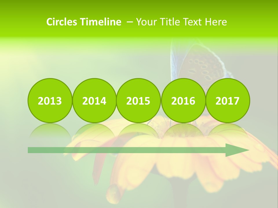 Background Wing Wildlife PowerPoint Template