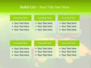 Background Wing Wildlife PowerPoint Template