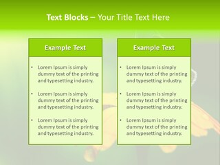 Background Wing Wildlife PowerPoint Template