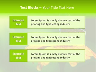 Background Wing Wildlife PowerPoint Template