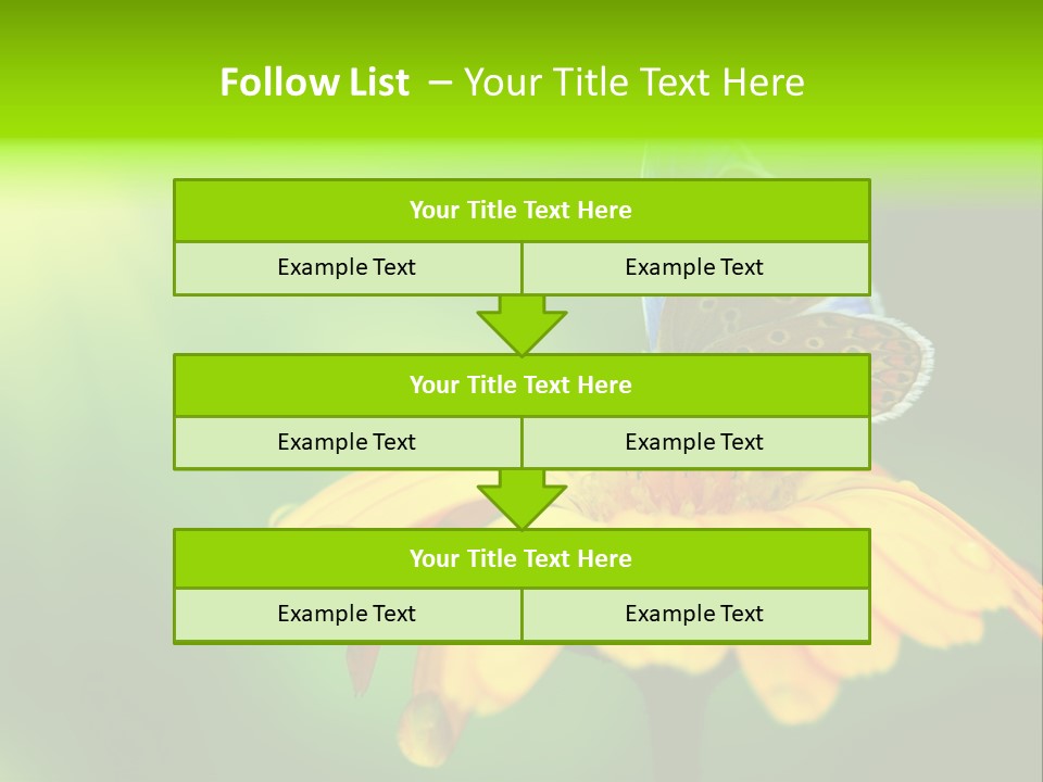 Background Wing Wildlife PowerPoint Template