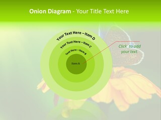 Background Wing Wildlife PowerPoint Template