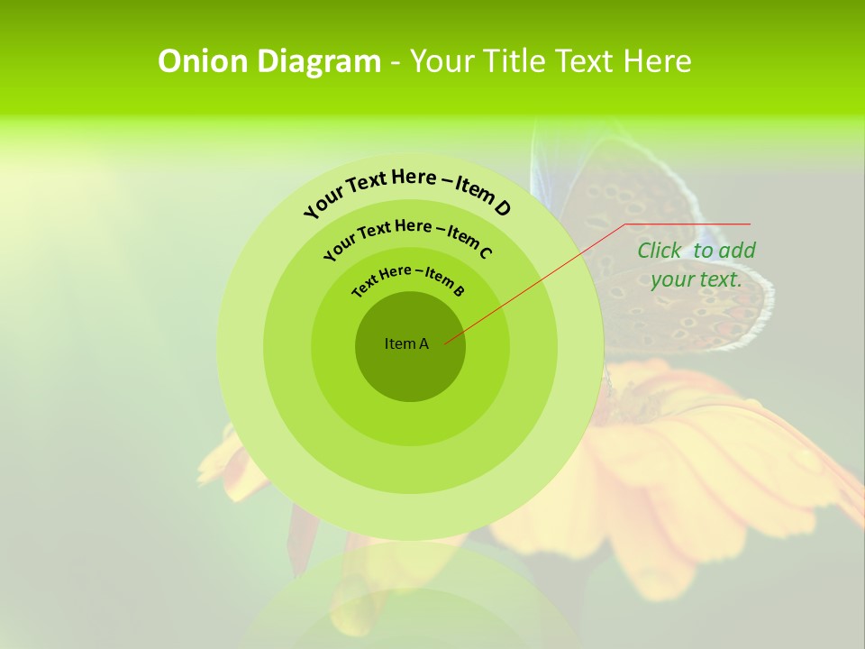 Background Wing Wildlife PowerPoint Template