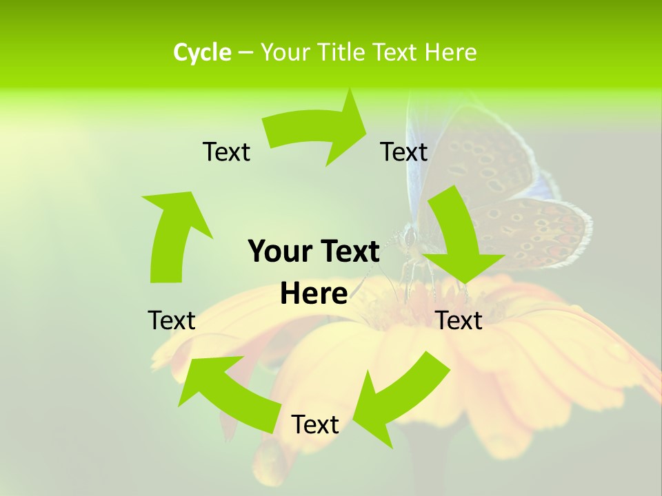 Background Wing Wildlife PowerPoint Template