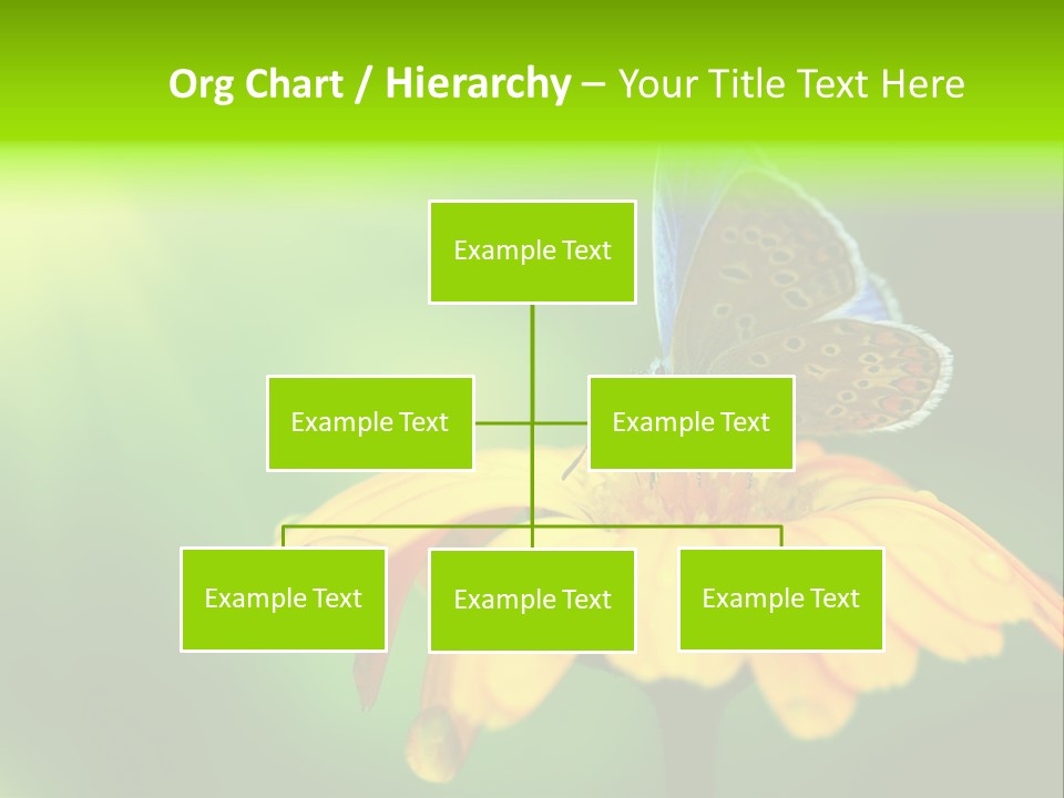 Background Wing Wildlife PowerPoint Template