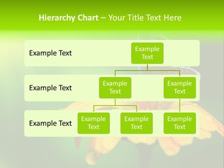 Background Wing Wildlife PowerPoint Template