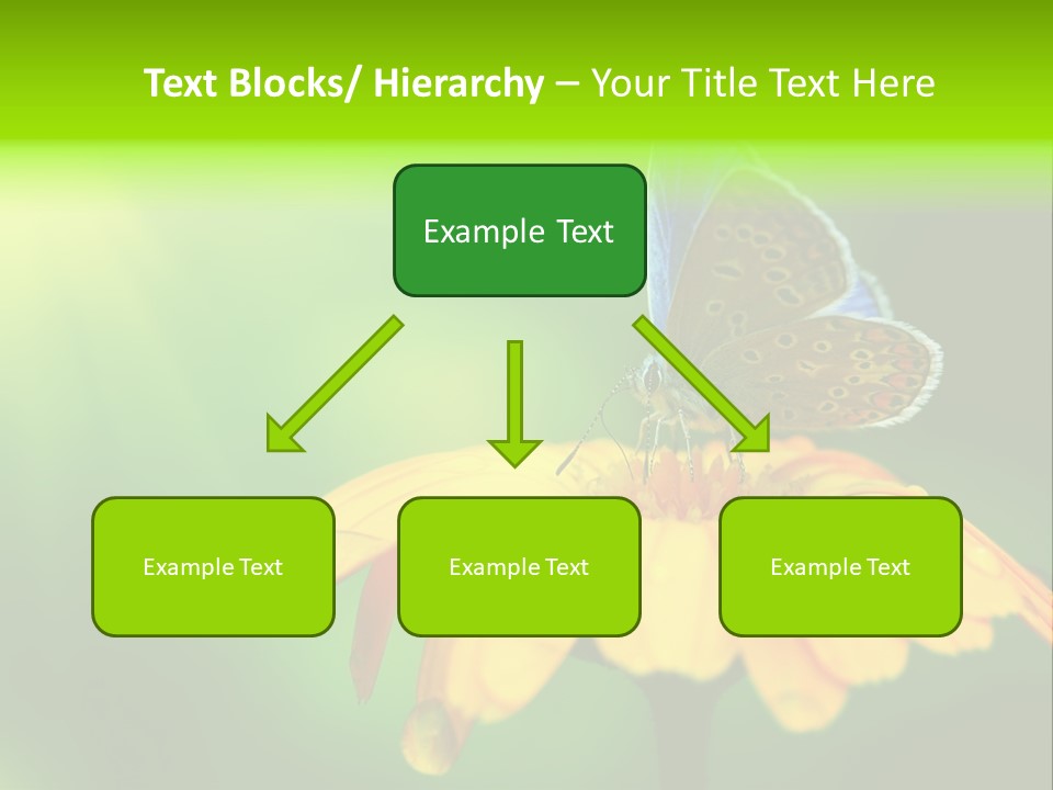 Background Wing Wildlife PowerPoint Template