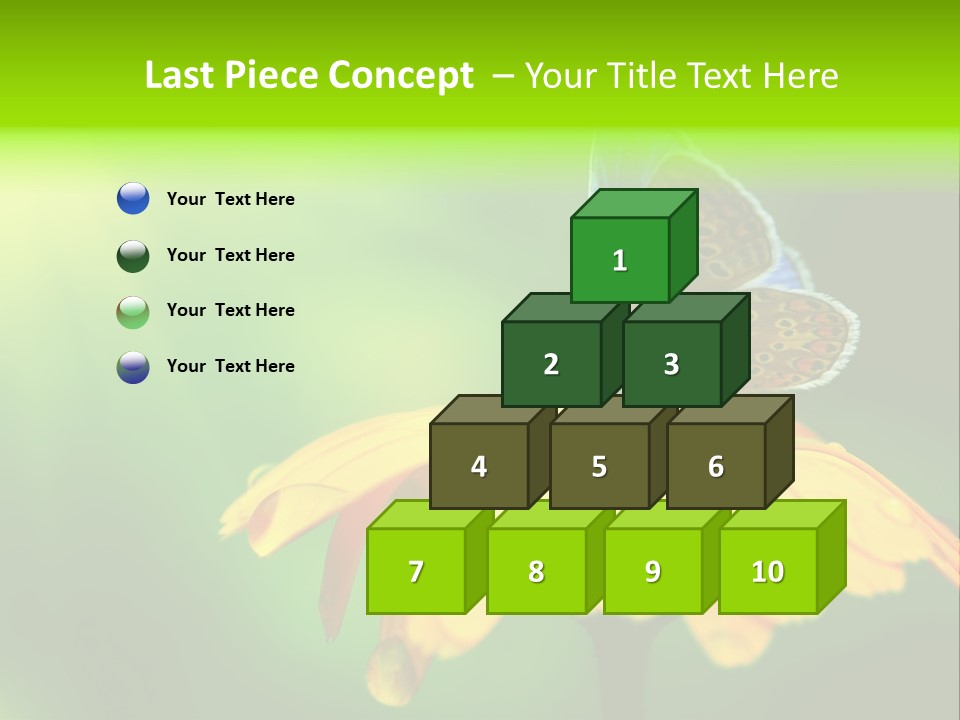 Background Wing Wildlife PowerPoint Template