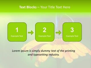 Background Wing Wildlife PowerPoint Template
