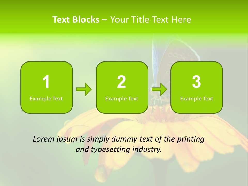 Background Wing Wildlife PowerPoint Template