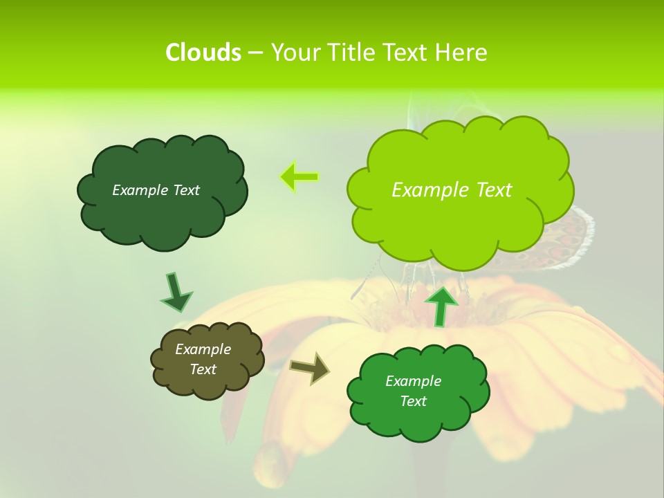 Background Wing Wildlife PowerPoint Template