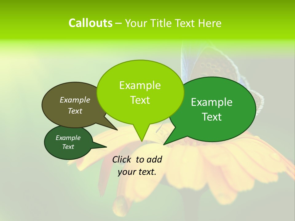 Background Wing Wildlife PowerPoint Template