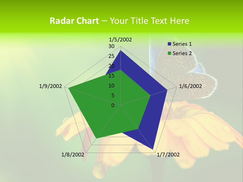 Background Wing Wildlife PowerPoint Template