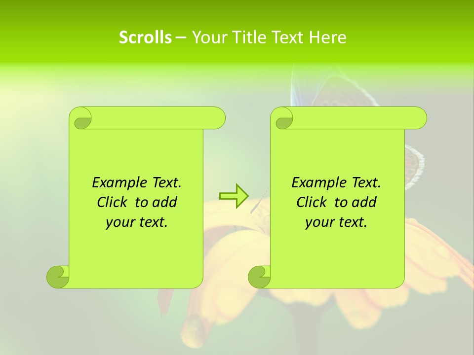 Background Wing Wildlife PowerPoint Template
