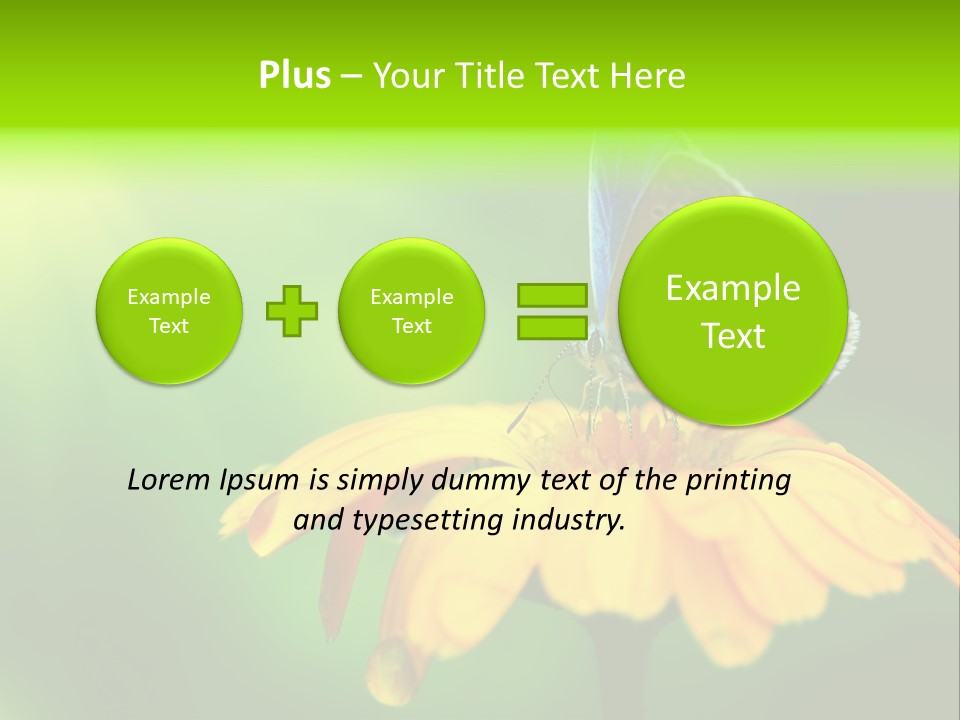 Background Wing Wildlife PowerPoint Template