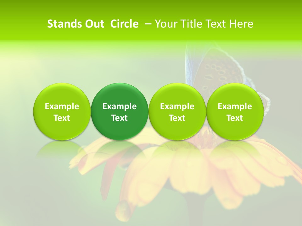 Background Wing Wildlife PowerPoint Template