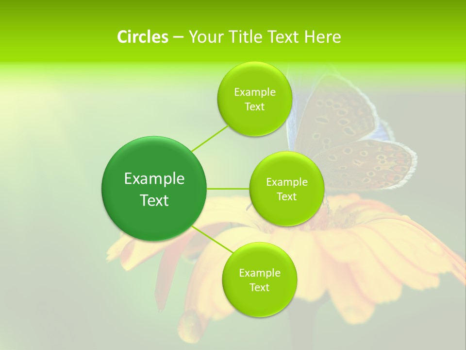 Background Wing Wildlife PowerPoint Template