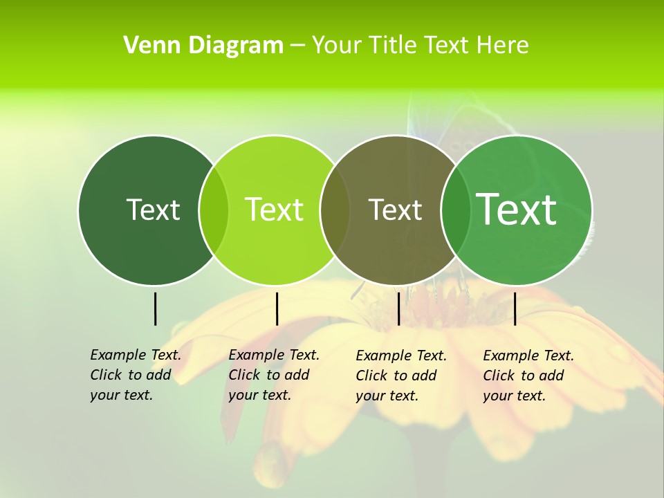 Background Wing Wildlife PowerPoint Template