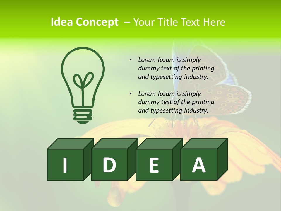 Background Wing Wildlife PowerPoint Template