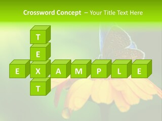 Background Wing Wildlife PowerPoint Template