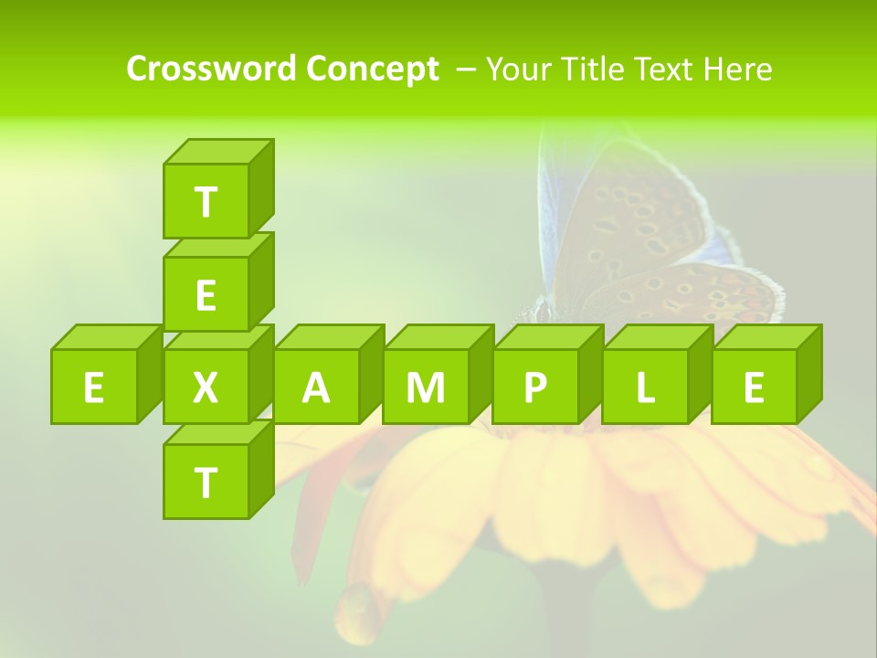 Background Wing Wildlife PowerPoint Template