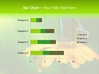 Background Wing Wildlife PowerPoint Template