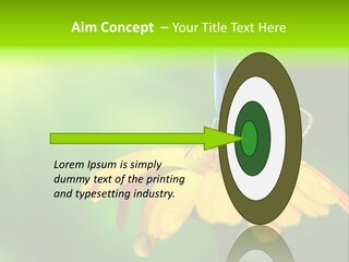 Background Wing Wildlife PowerPoint Template